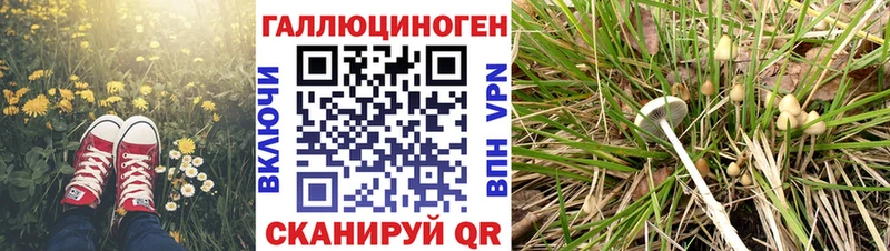 купить наркотики сайты  Лагань  Галлюциногенные грибы GOLDEN TEACHER 